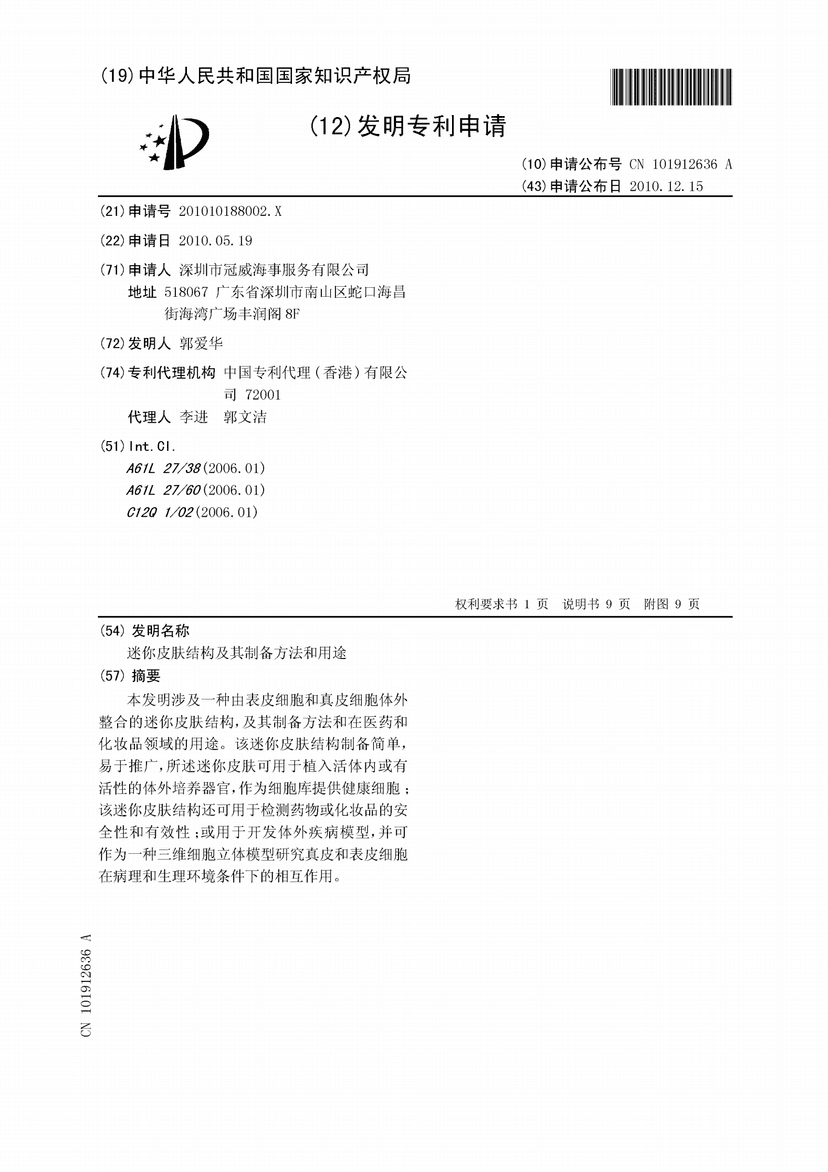 Miniature Skin Structure and Its Preparation Method and Use Thereof Patent Document