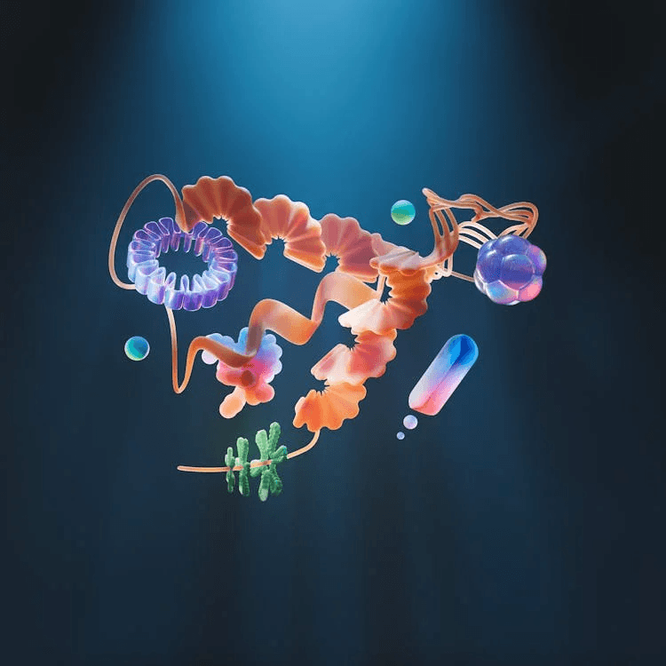 Protein Structure Research